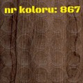 867.jpg