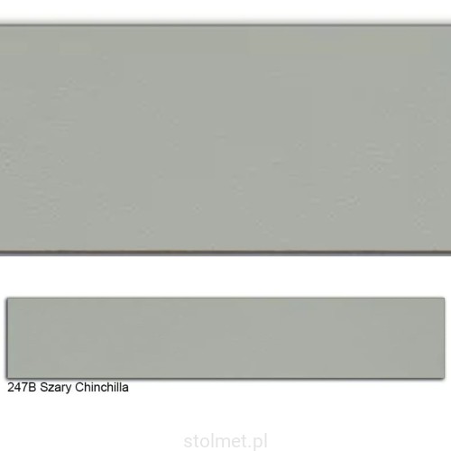 247B Szary Chinchilla.jpg