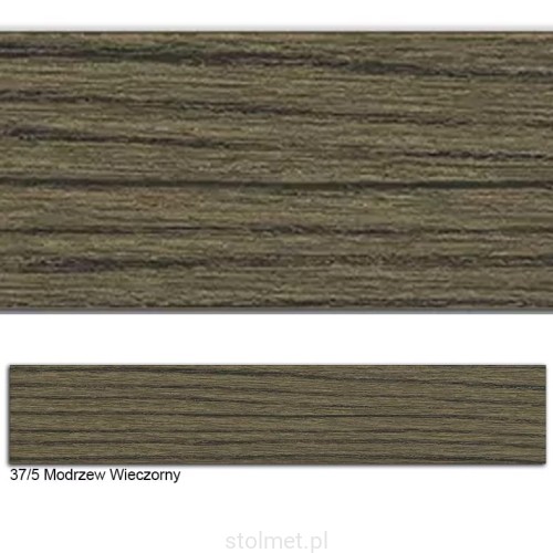 37-5 Modrzew Wieczorny.jpg