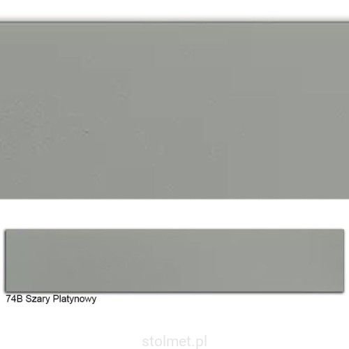74B SZARY PLATYNOWY.jpg