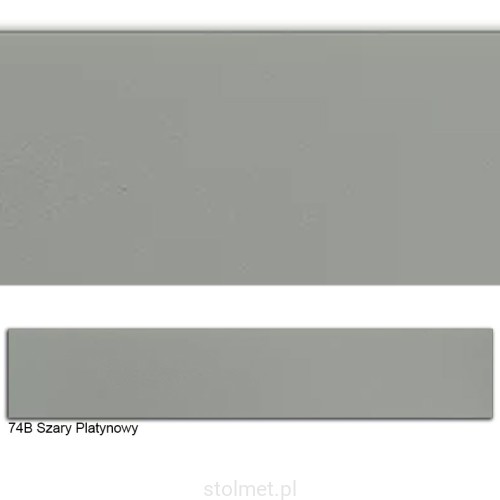 74B SZARY PLATYNOWY.jpg