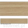 N03-3 WIŚNIA ROMANA.jpg