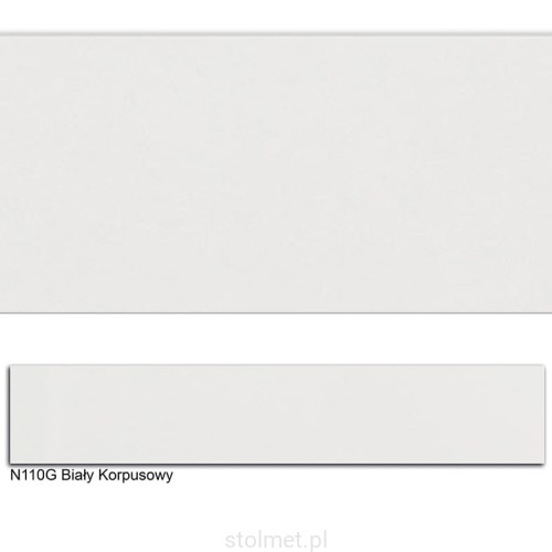 N110G BIAŁY KORPUSOWY.jpg