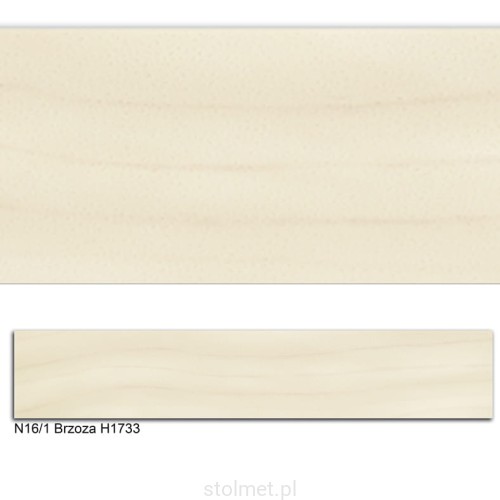 N16-1 BRZOZA H1733.jpg