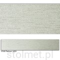 N74B Platinum U859.jpg