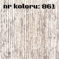 861.jpg