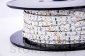 Tasma led flash 2.jpg