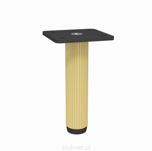 Z-4619-100ra1.A2-P61 kopia.jpg