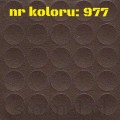 977.jpg