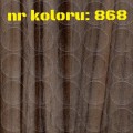 868.jpg