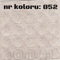852.jpg