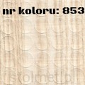 853.jpg